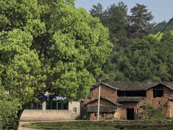 中國裁判文書網(wǎng)查不到案件是什么緣故緣由？上海嘉定刑事律師來回答