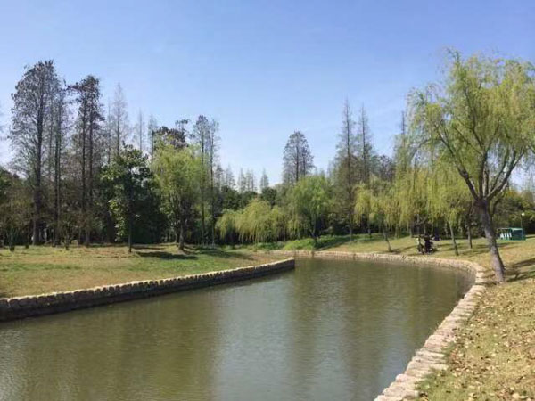 小額貸款公司恐嚇威脅借款人如何處理？上海資深刑事律師來回答