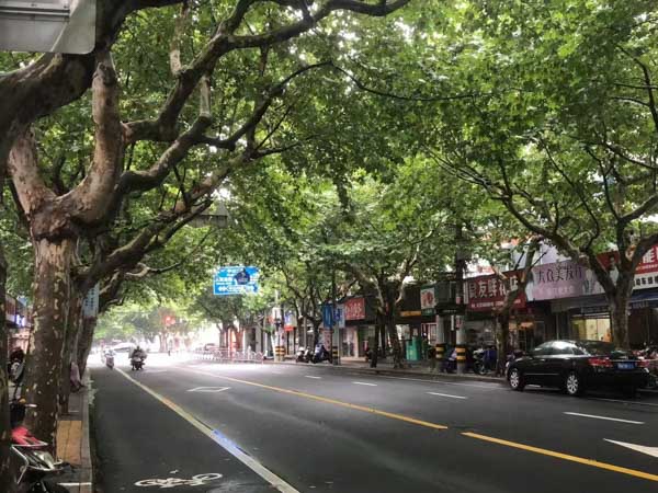 上海集資詐騙罪律師講解非法集資判多久，有家屬被拘留的趕緊來看！