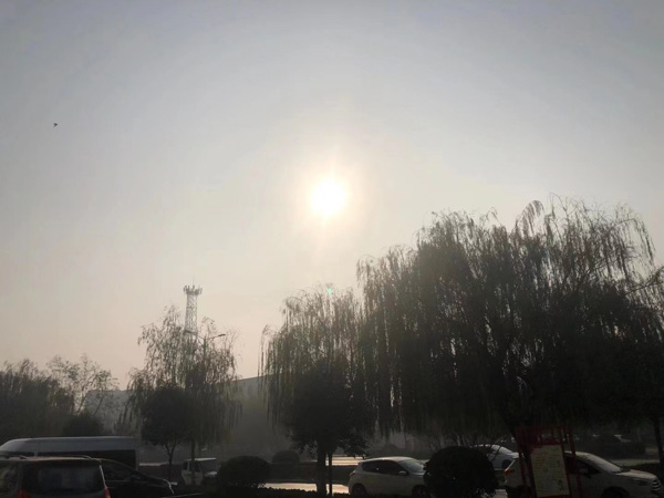 侵犯著作權罪的構成要件是什么？看看上海浦東刑事律師為您解答