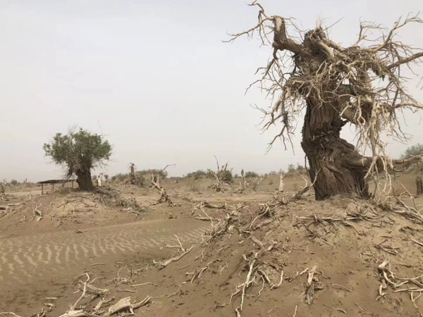 不要被騙了,上海浦東刑事律師告訴你保釋金應該給多少