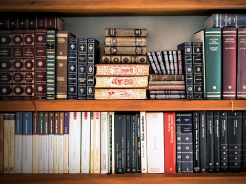 菊園新區律師以養卡區分三類詐騙