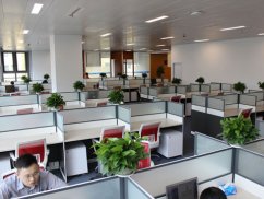 上海著名刑事律師