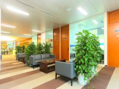 一個女的隱瞞婚史，以交往為由可以告她欺詐嗎